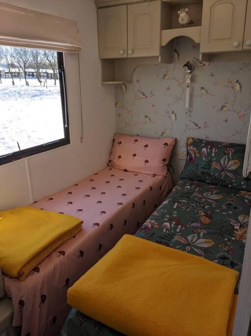 Ferny Roost Cabin. Wrexham Eksteriør bilde